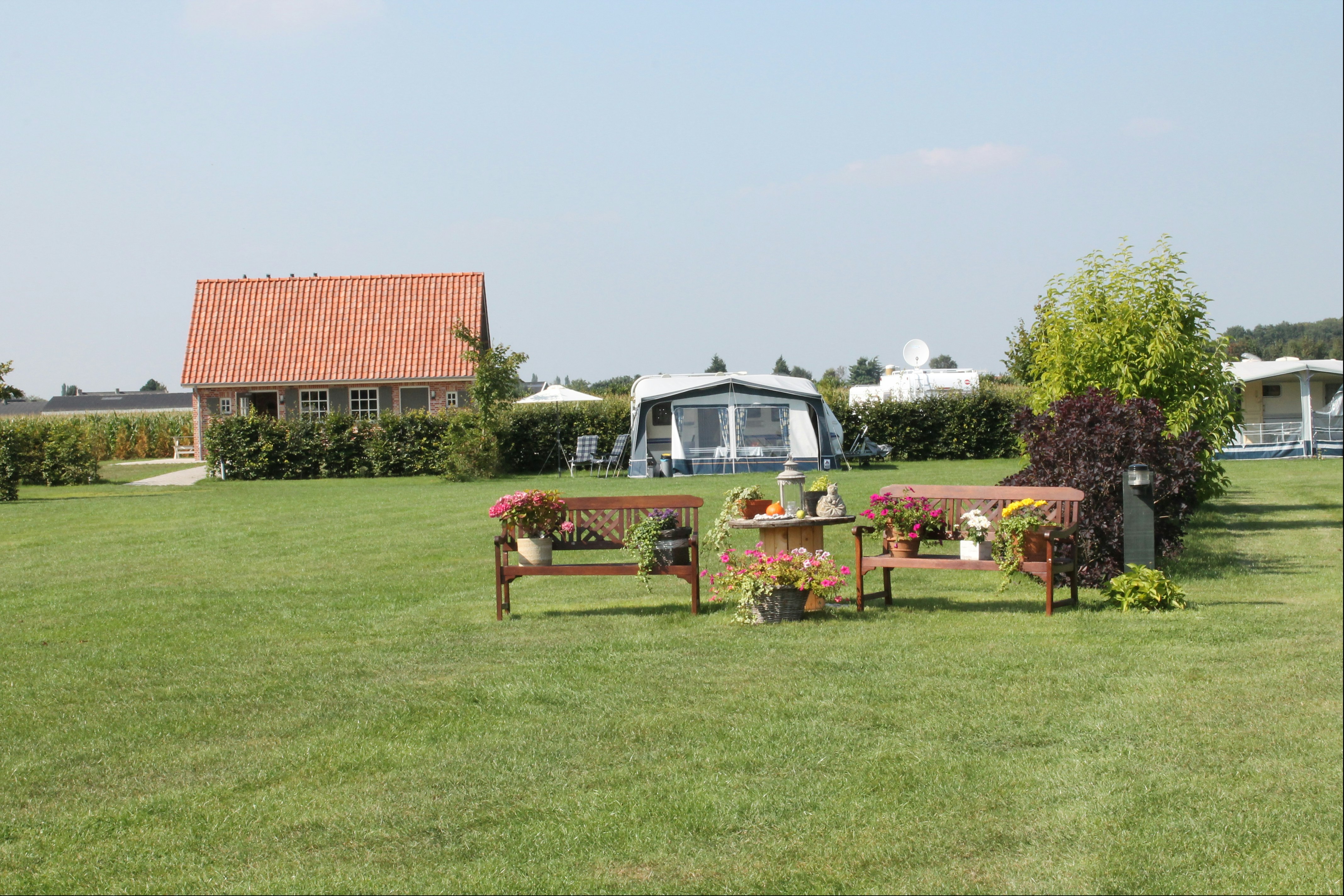 Camping De Wielewaal - Standplatzwiese auf dem Campingplatz