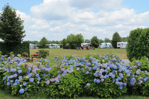 Camping De Wielewaal (HC Baarle-Nassau)