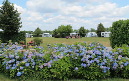 Camping De Wielewaal (HC Baarle-Nassau)