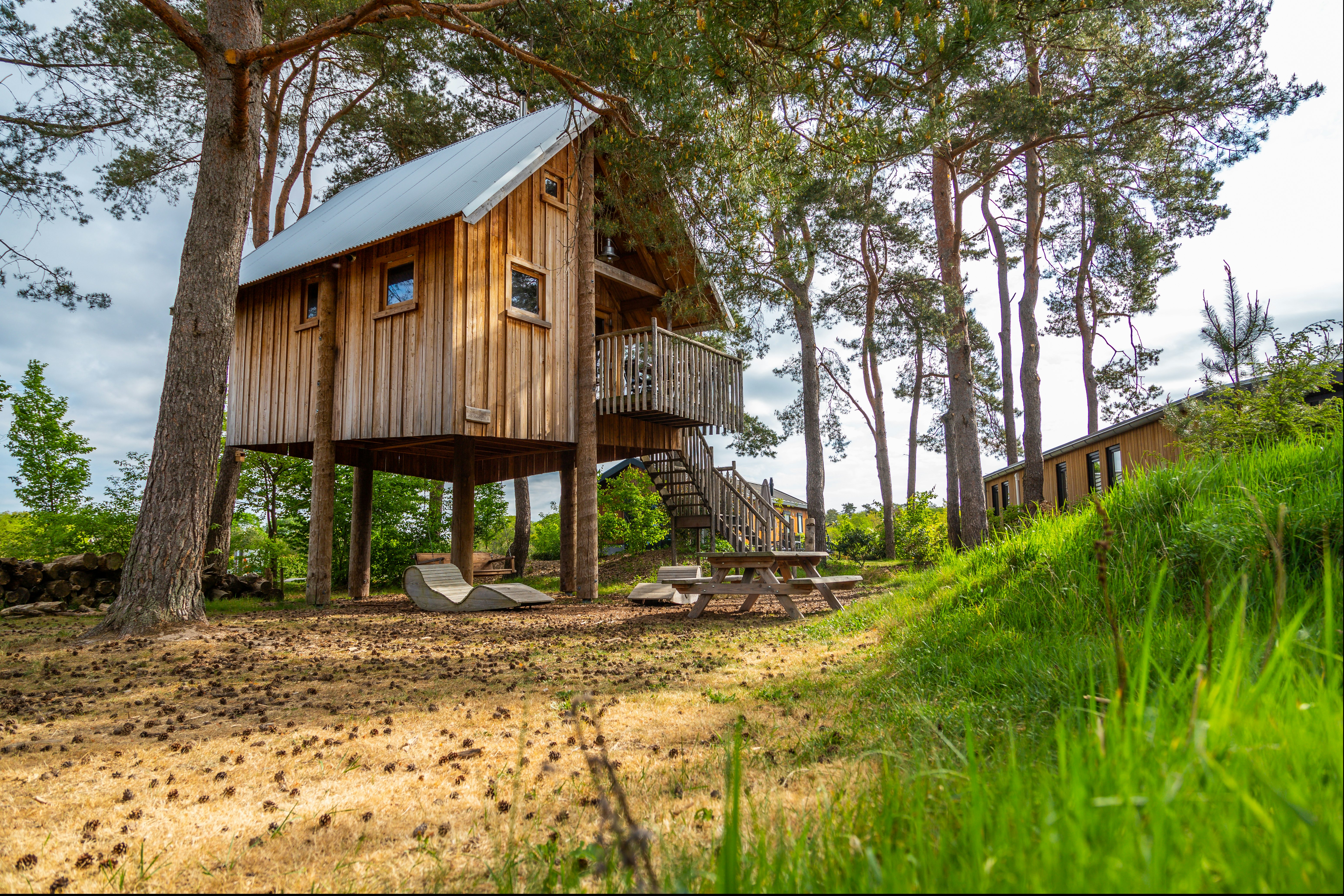 Resort De Wije Werelt  Camping De Wije Werelt - Baumhaus mit Terrasse