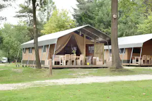 Camping De Wildhoeve - Miet-Safarizelt mit Terrasse