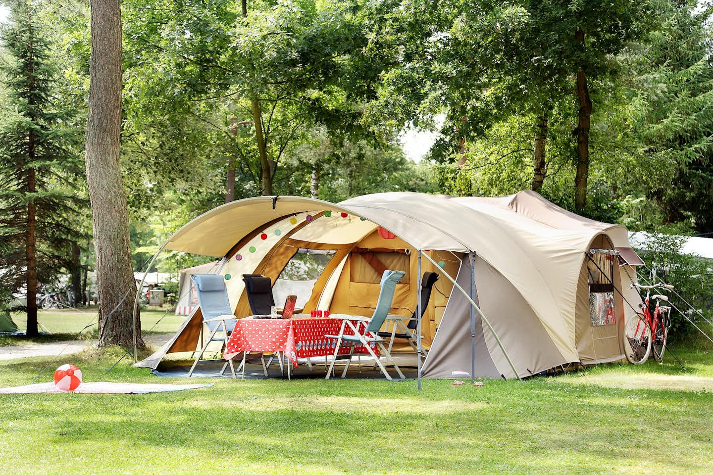 Camping De Wildhoeve - Zeltplatz im Schatten der Bäume