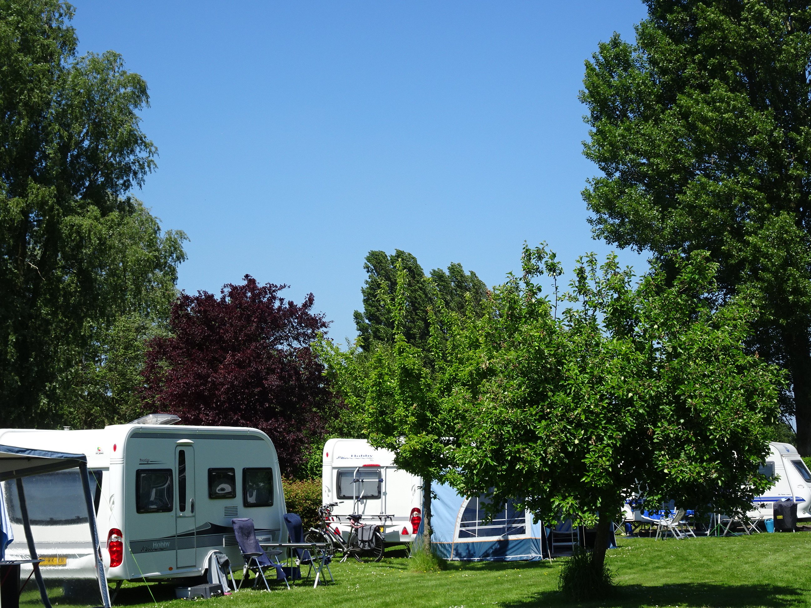 Camping De Wilgenhoek