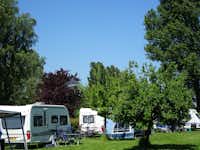 Camping De Wilgenhoek