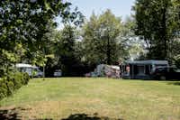Camping De Wite Burch - Campingbereich für Zelte, Wohnwagen und Mobilheime im Schatten der Bäume.