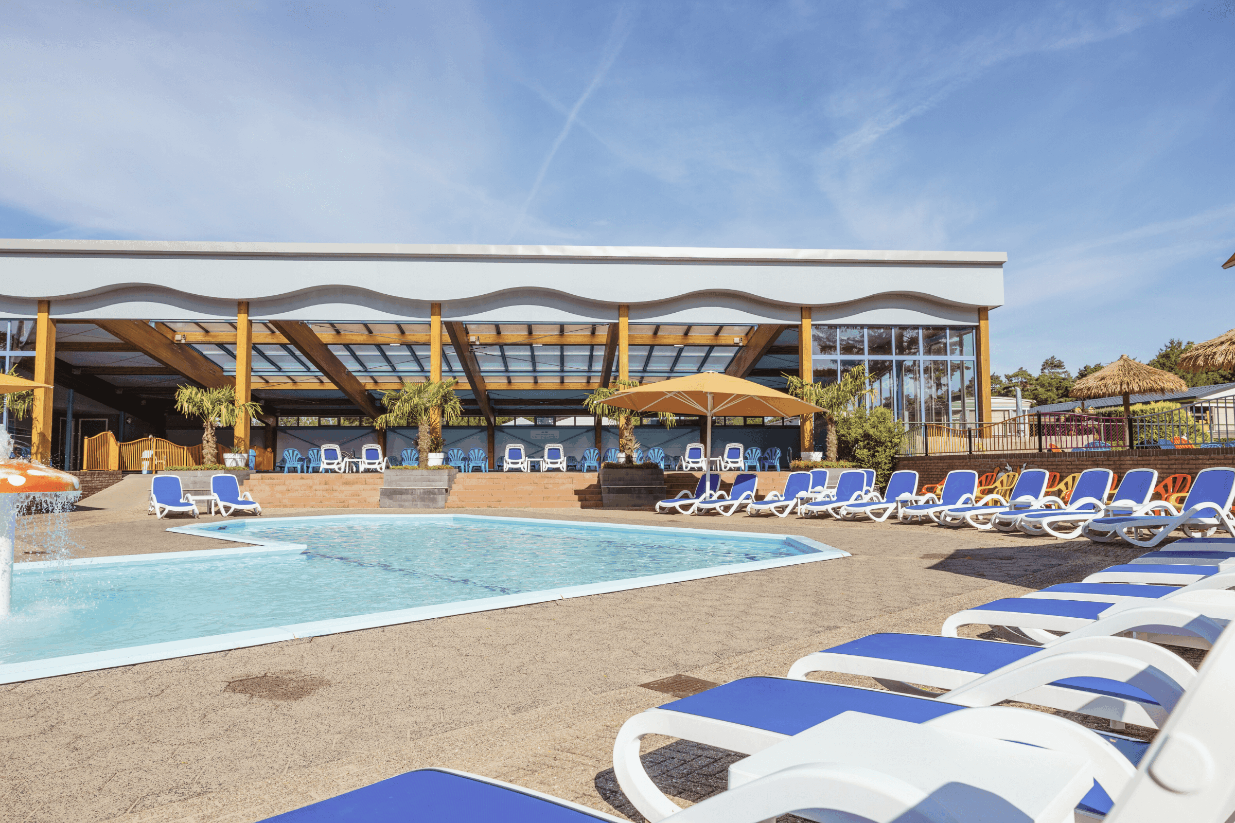 Camping De Zanderij  - Pool im Freien mit Liegestühlen und Sonnenschirmen