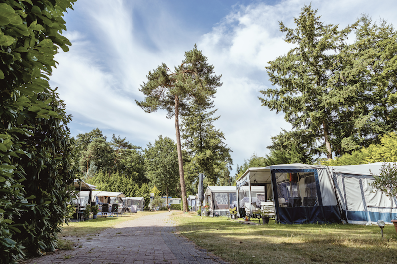 Camping De Zanderij (foto 1, bron: ANWB Camping)