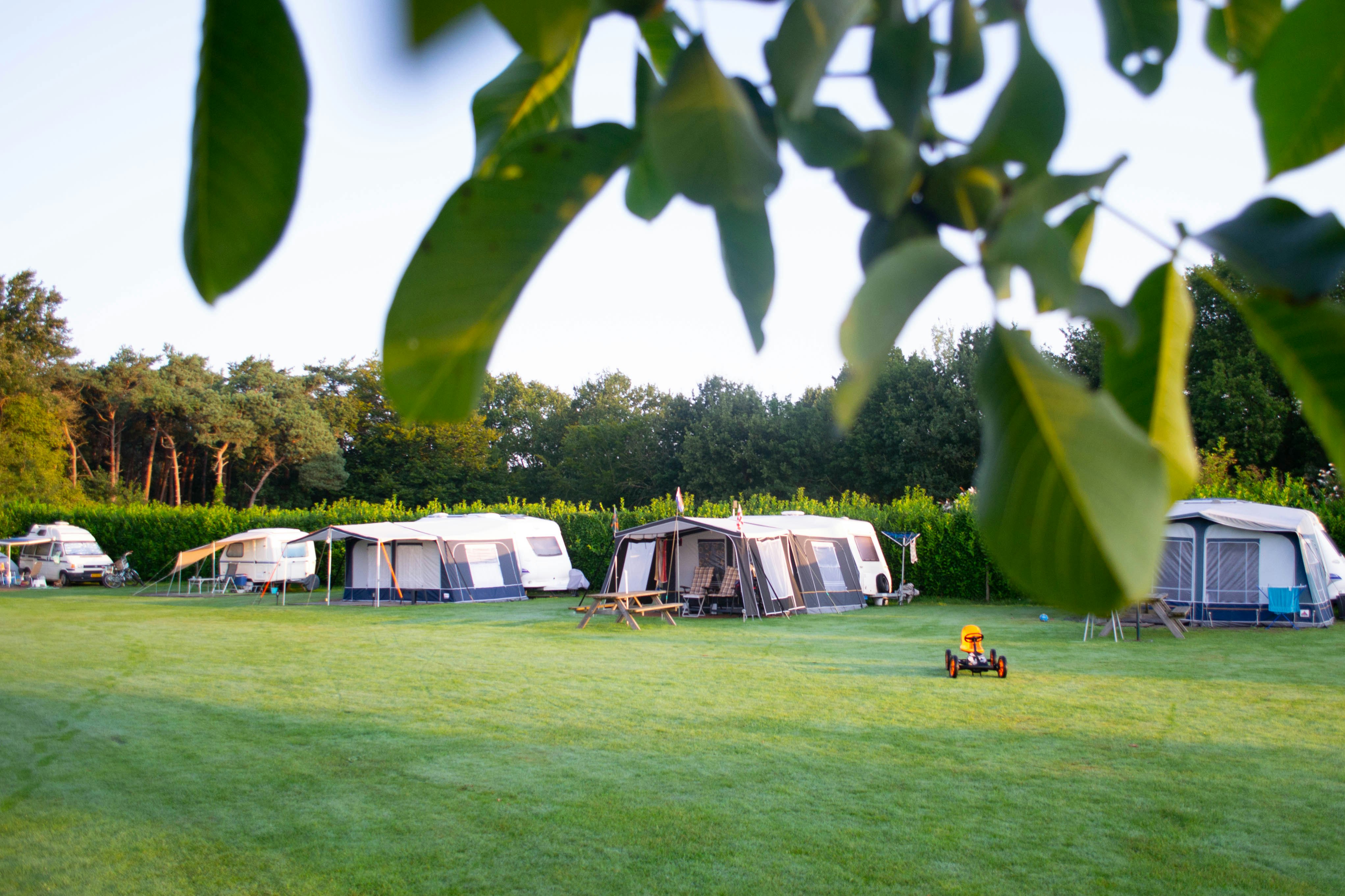 Camping De Zandkant - Blick auf die Standplätze auf der Wiese