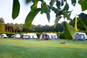 Camping De Zandkant - Blick auf die Standplätze auf der Wiese