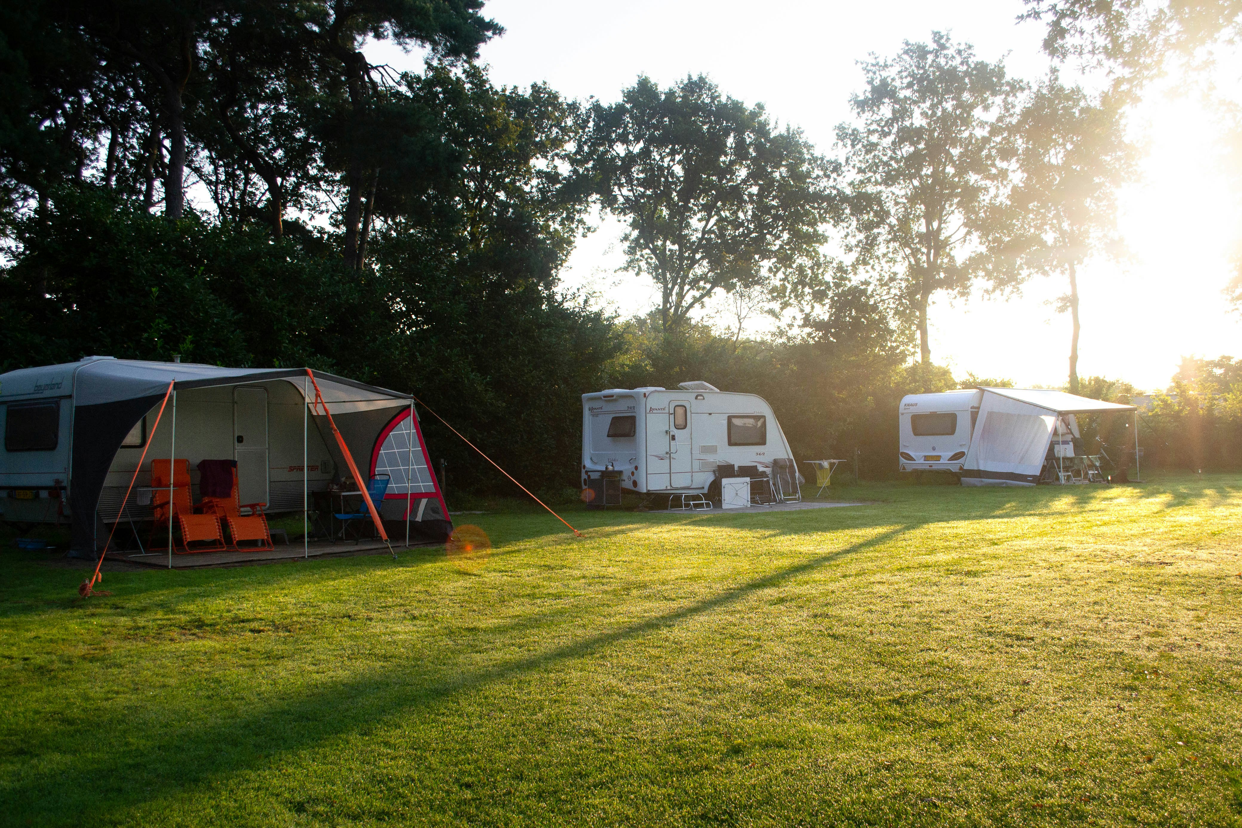 Camping De Zandkant - Standplatzwiese auf dem Campingplatz