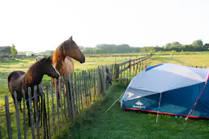 Camping De Zandkant - Zeltplatz neben der Pferdewiese