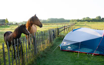Camping De Zandkant
