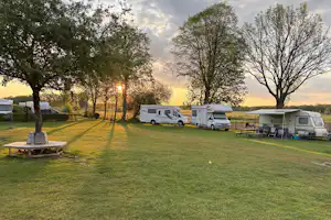 Wohnwagen und Campingbusse auf einem gepflegten Rasenplatz, mit Tisch und Stühlen im Schatten der Bäume.