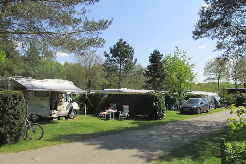 Camping De Zeven Heuveltjes -  Campingbereich für Zelte und Wohnwagen im Schatten der Bäume