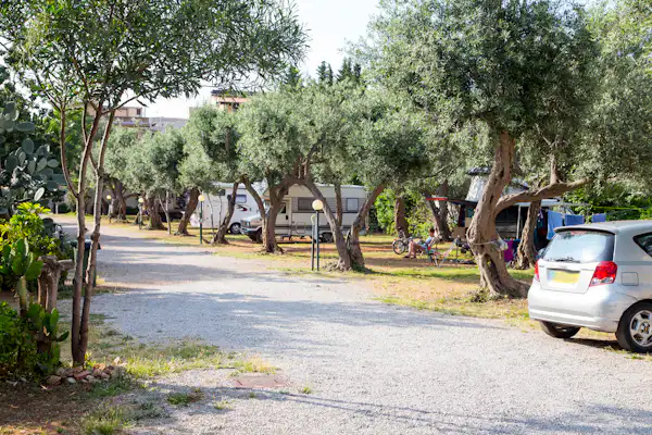 Camping degli Ulivi (Sferracavallo)