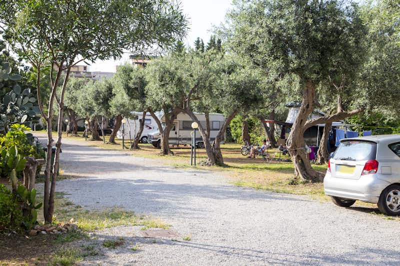 Camping degli Ulivi -  Wohnmobilstellplätze  zwischen Bäumen