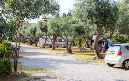 Camping degli Ulivi (Sferracavallo)
