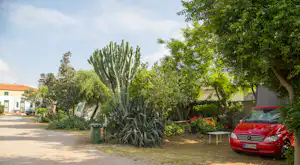 Camping degli Ulivi - Kleinbus im Schatten auf dem Campingplatz