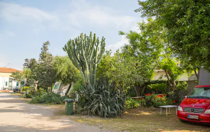Camping degli Ulivi (Sferracavallo)