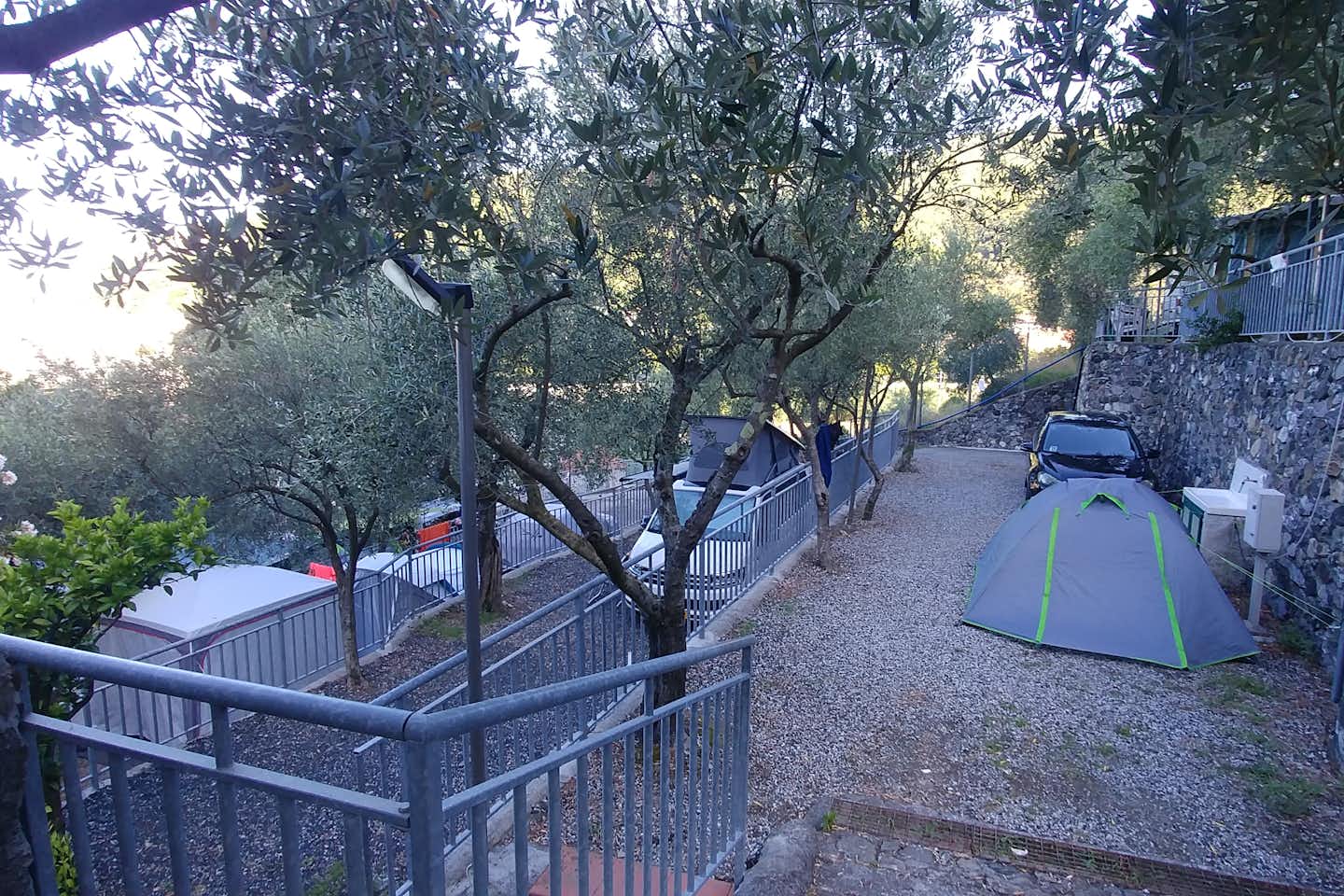 Camping degli Ulivi - Stellplätze auf mehreren Ebenen mit gepflanzten Bäumen