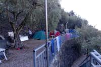 Camping degli Ulivi - Zelte auf einem Stellplatz