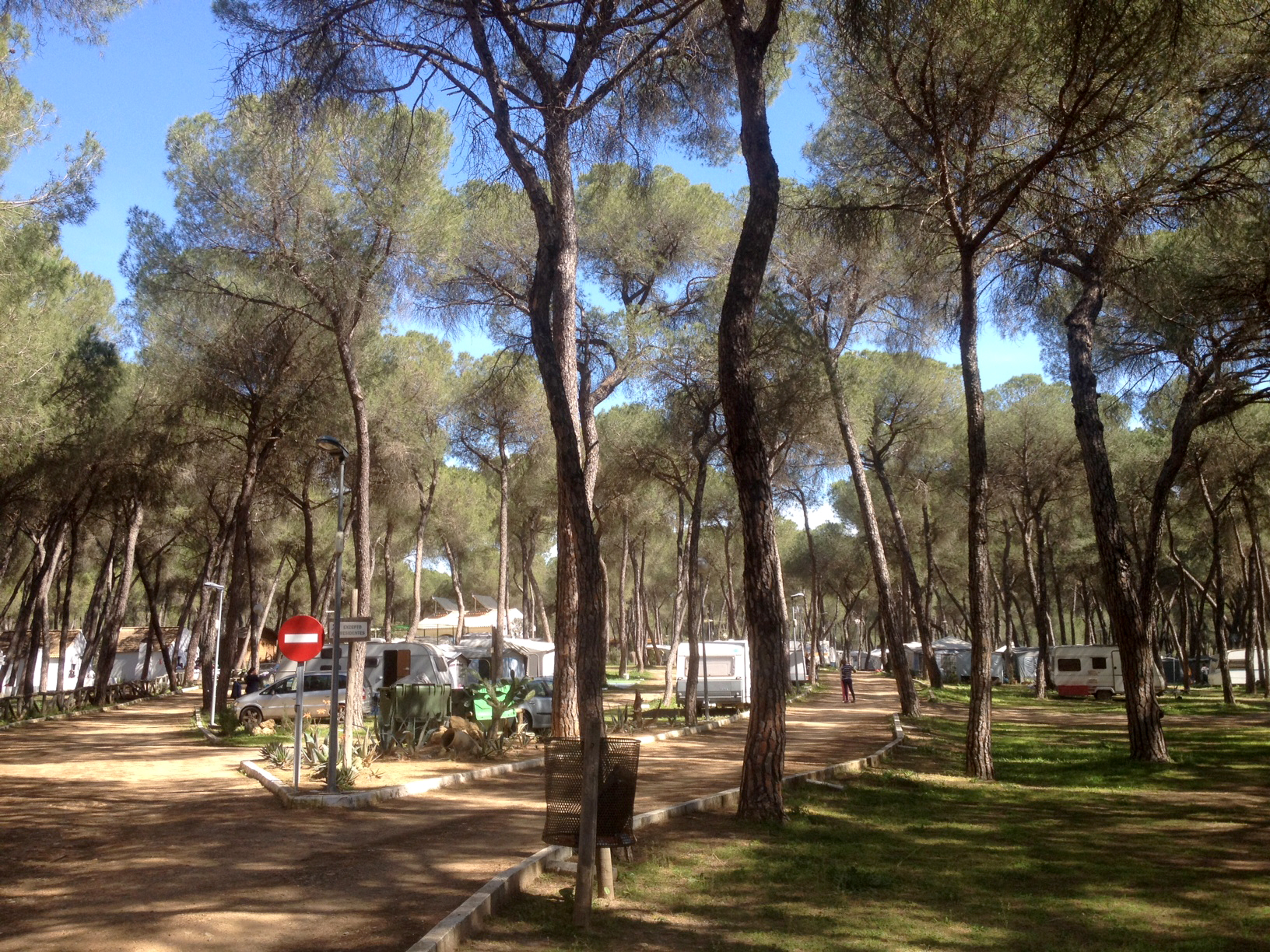 Camping Dehesa Nueva