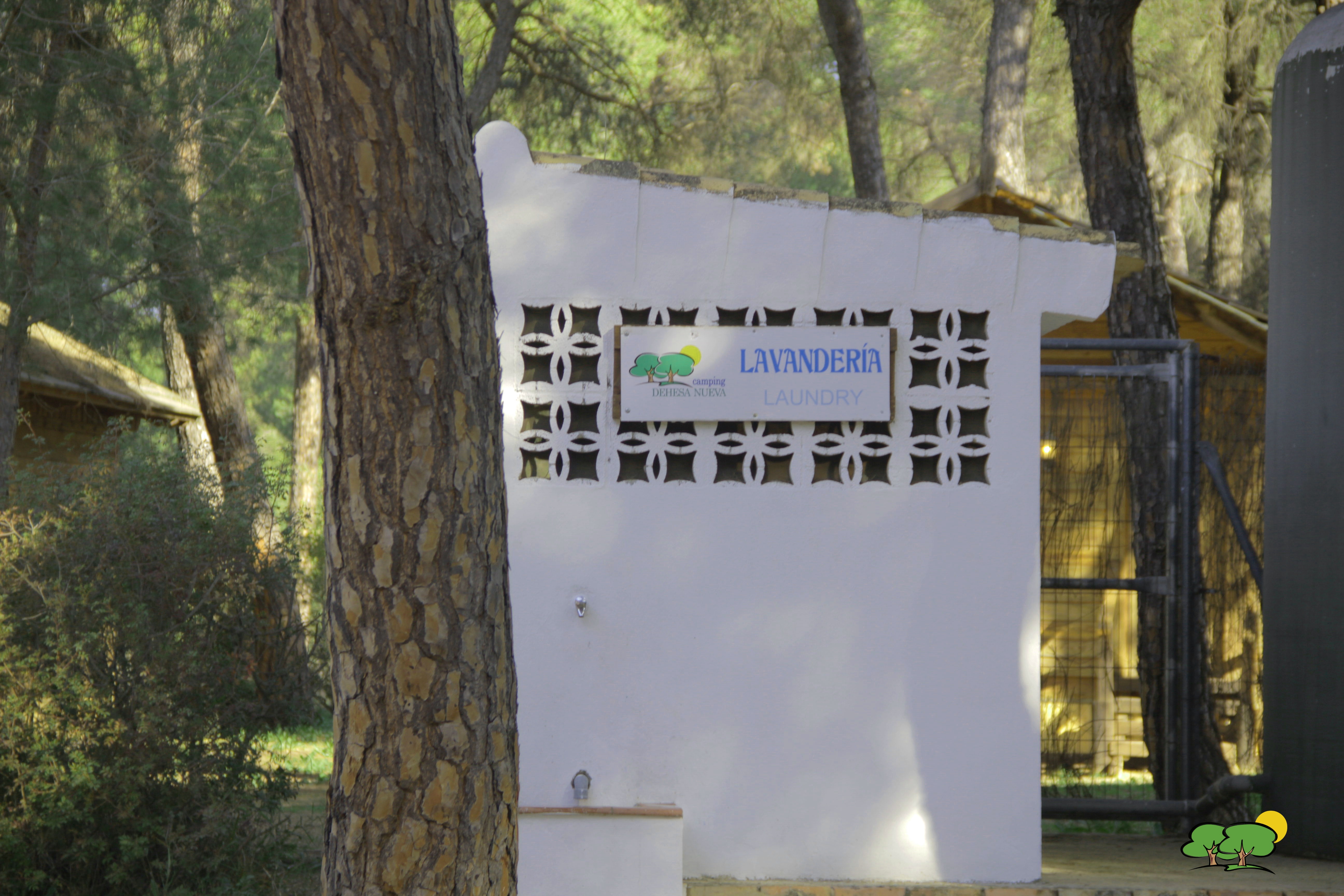 Camping Dehesa Nueva