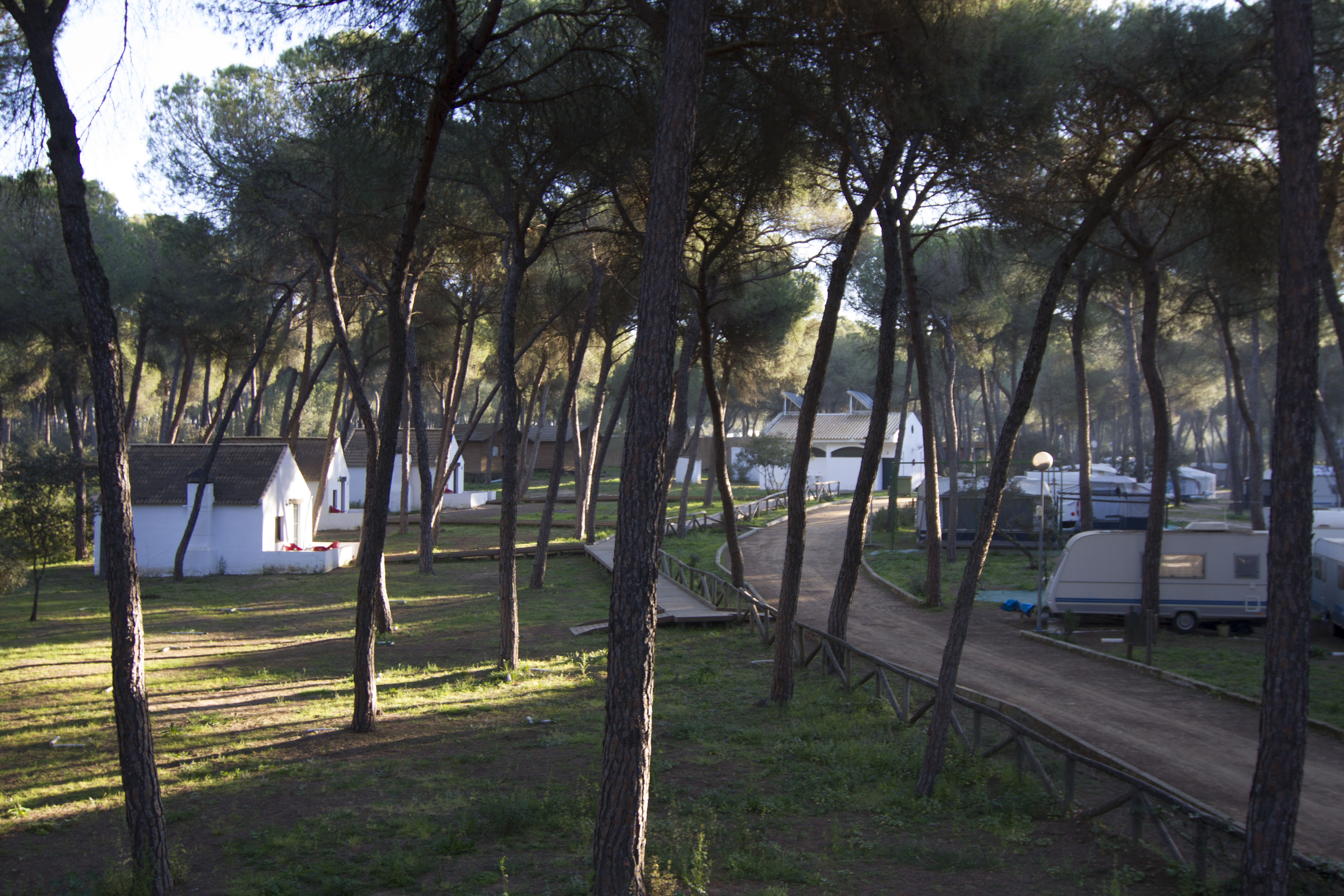Camping Dehesa Nueva