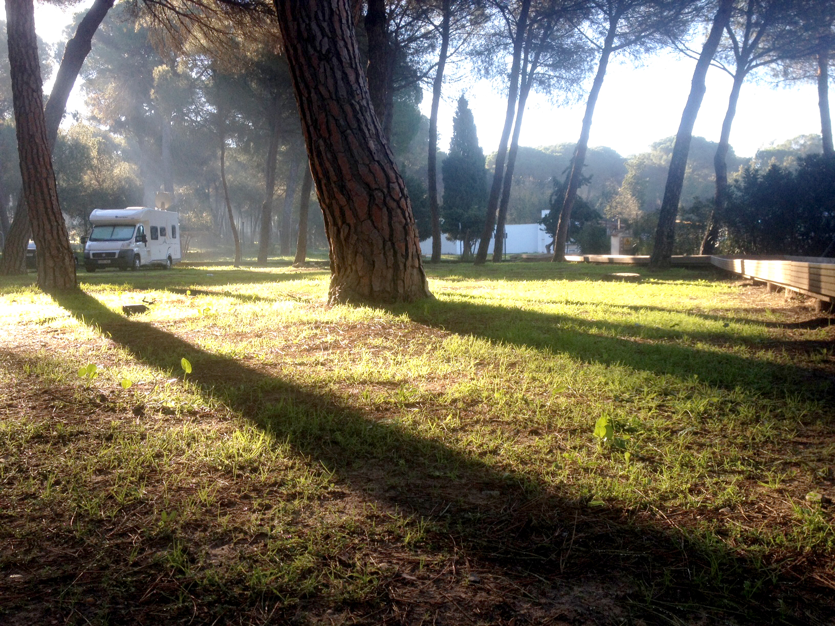 Camping Dehesa Nueva