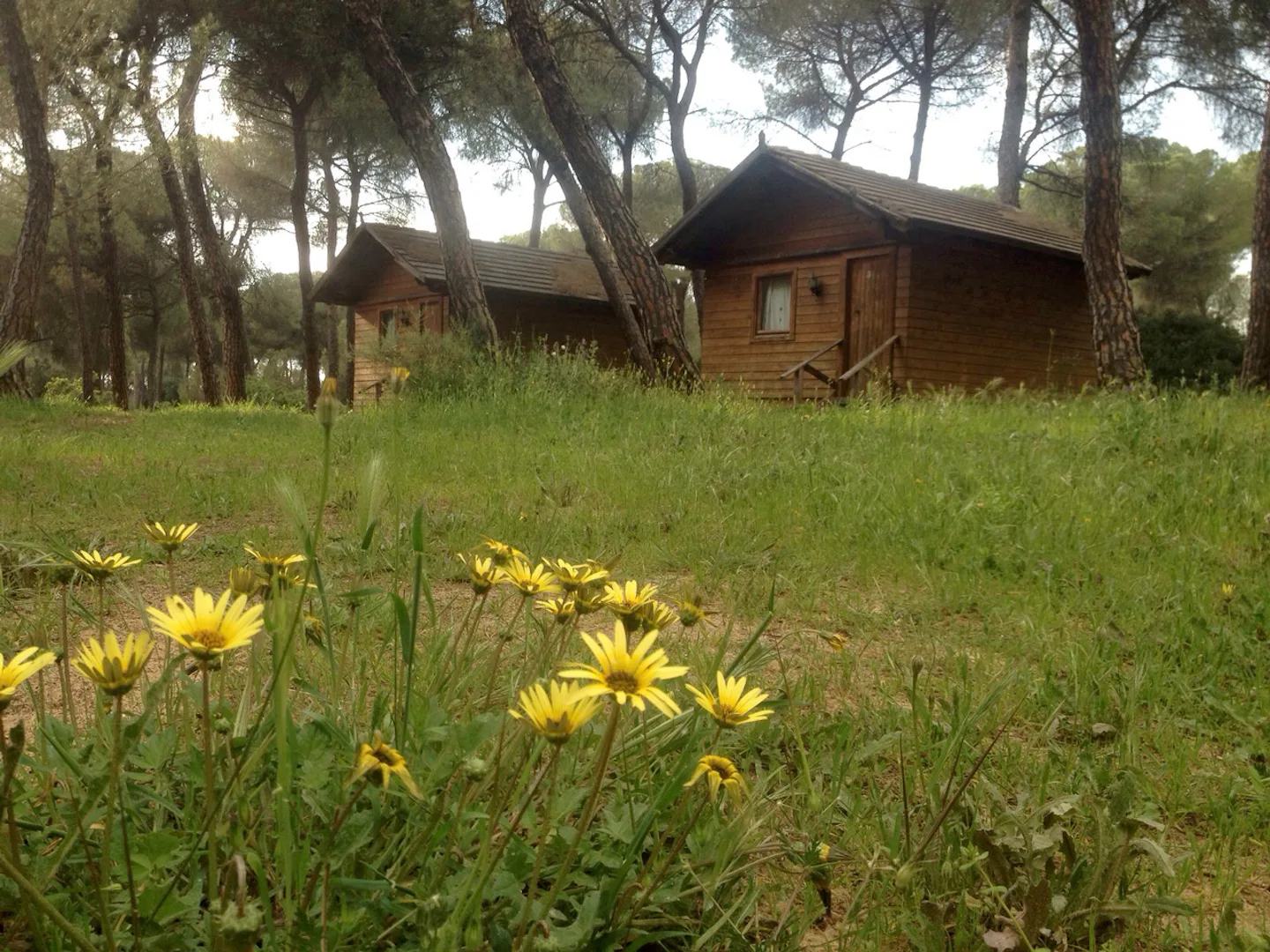Camping Dehesa Nueva