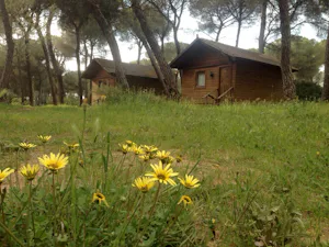 Camping Dehesa Nueva