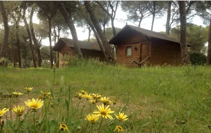 Camping Dehesa Nueva