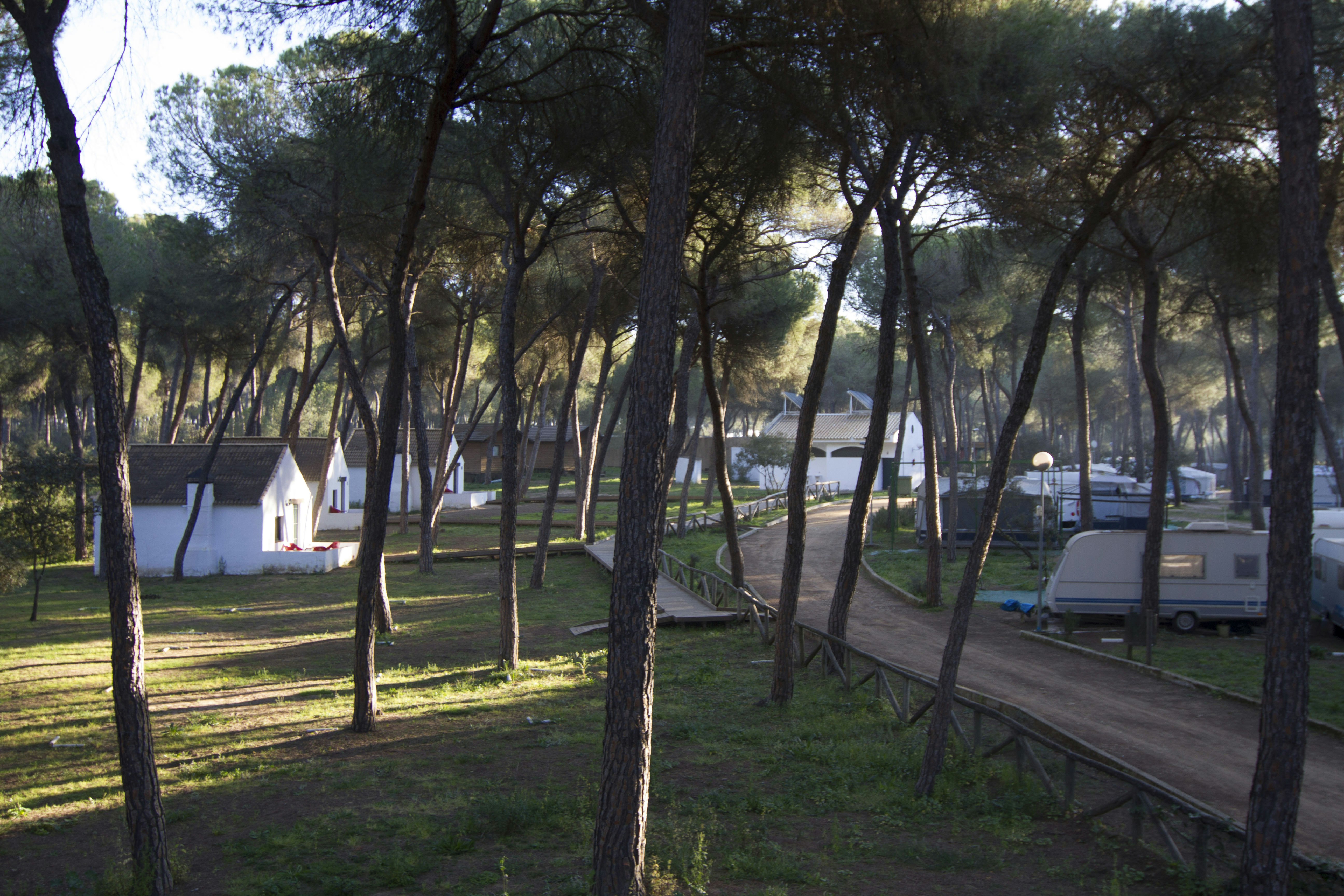 Camping Dehesa Nueva