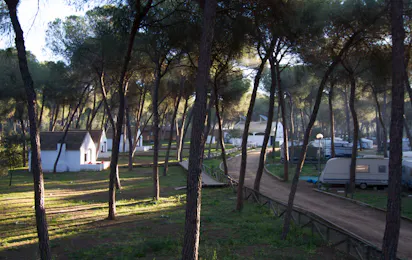 Camping Dehesa Nueva
