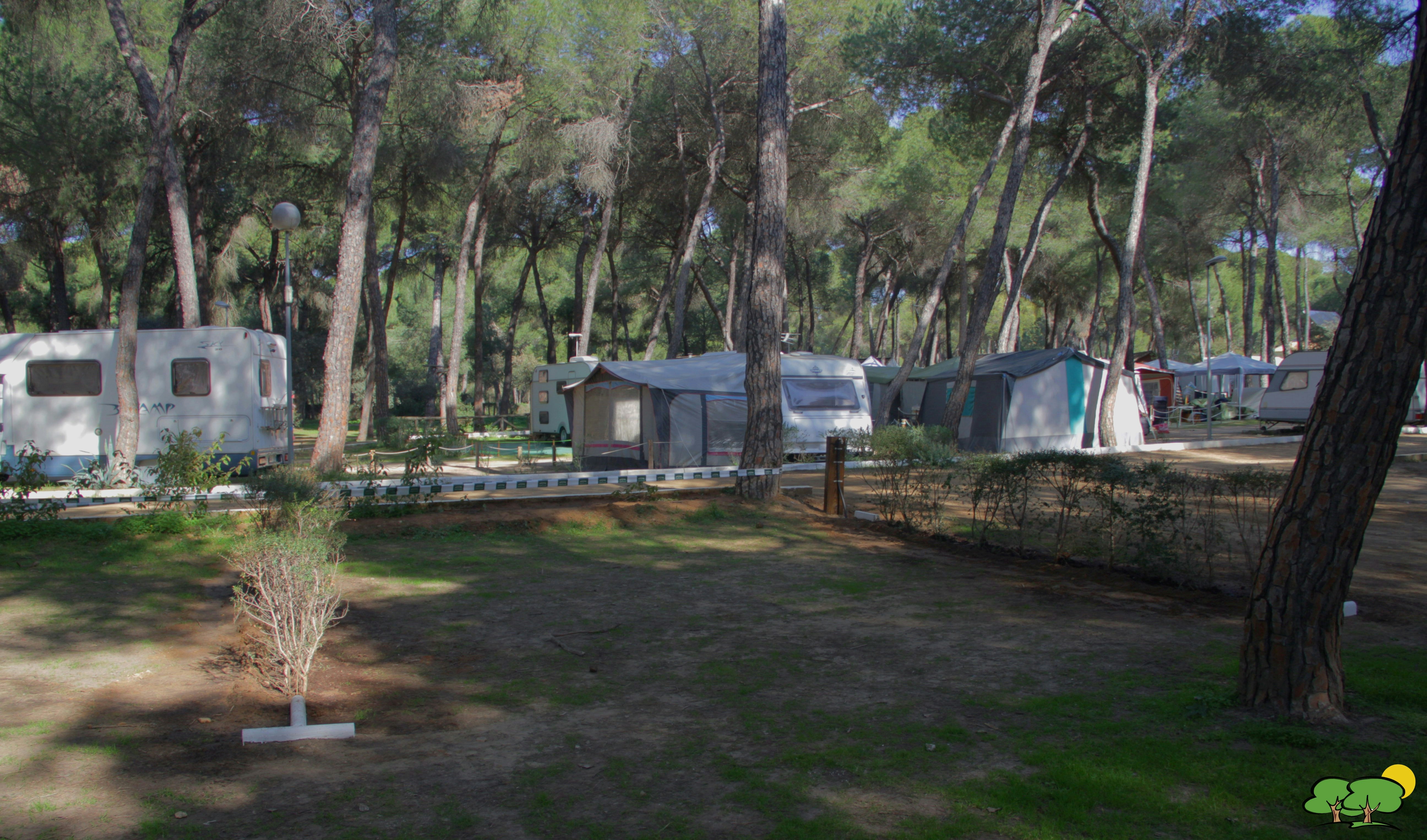Camping Dehesa Nueva