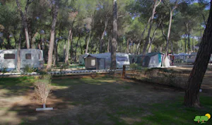 Camping Dehesa Nueva
