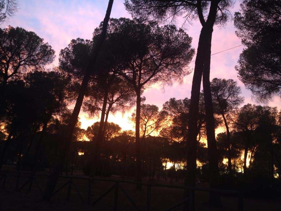 Camping Dehesa Nueva