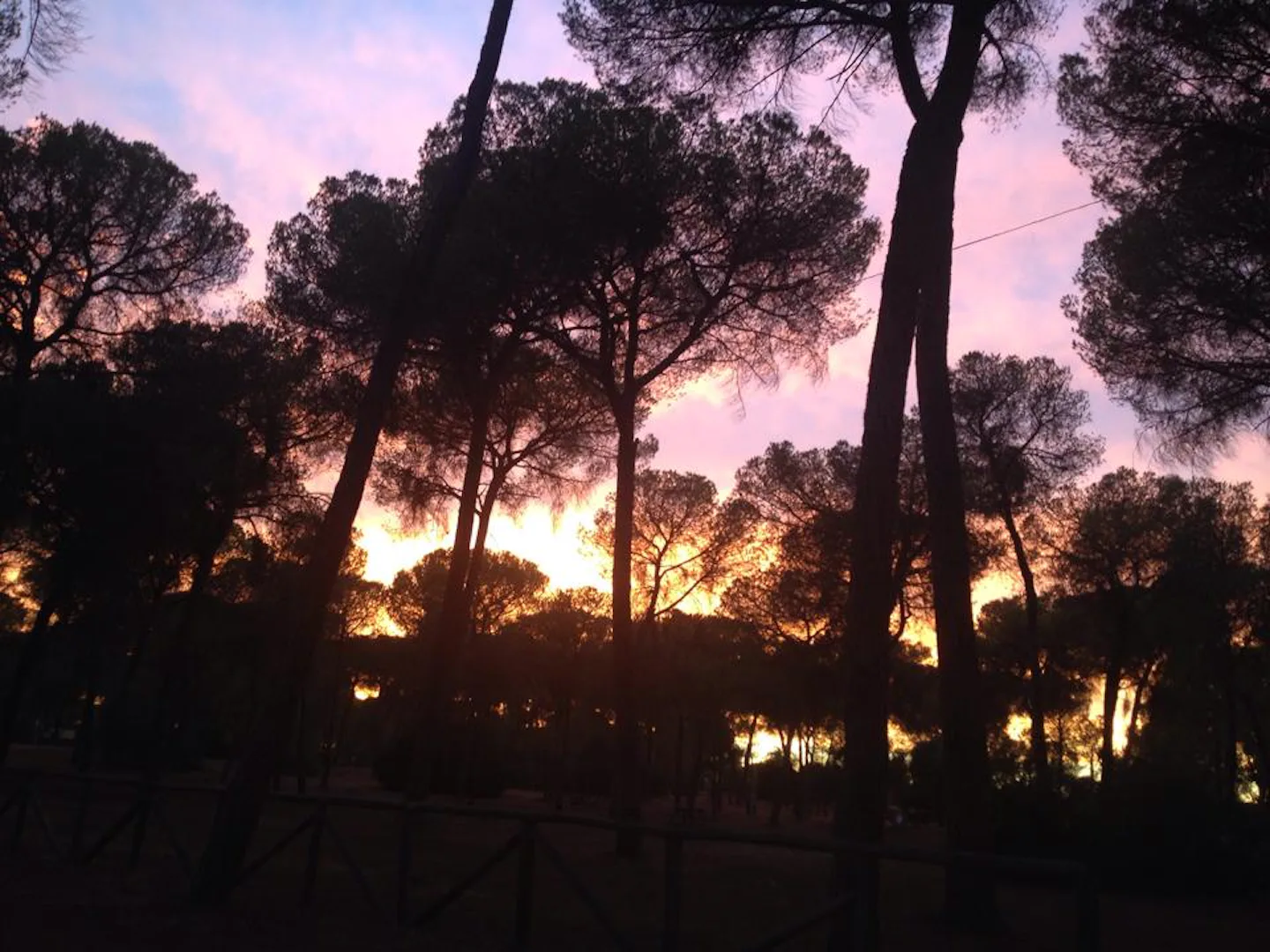 Camping Dehesa Nueva