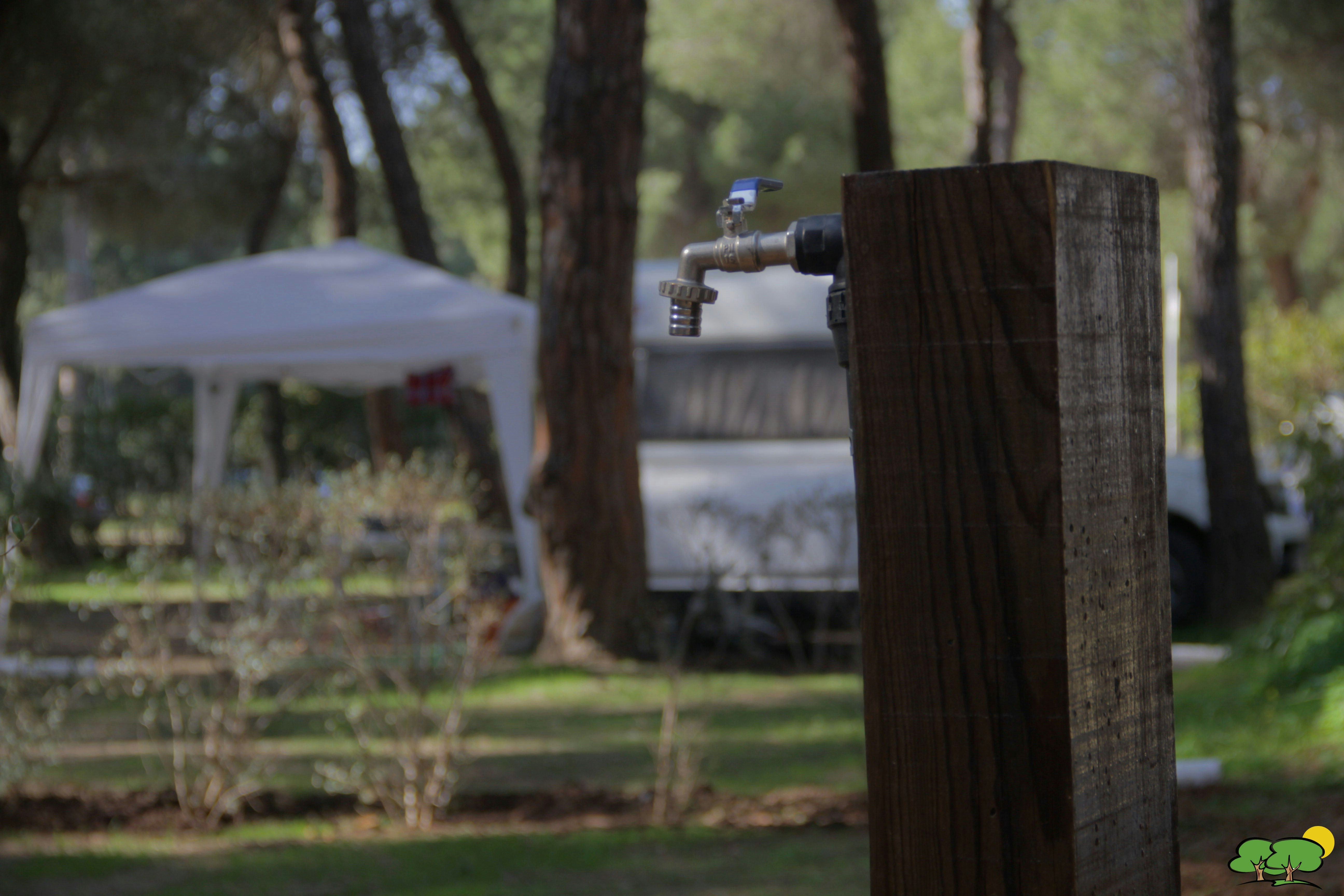 Camping Dehesa Nueva