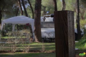 Camping Dehesa Nueva