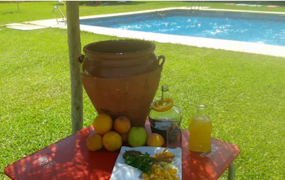 Camping Dehesa Nueva