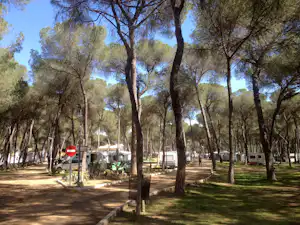 Camping Dehesa Nueva