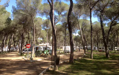 Camping Dehesa Nueva