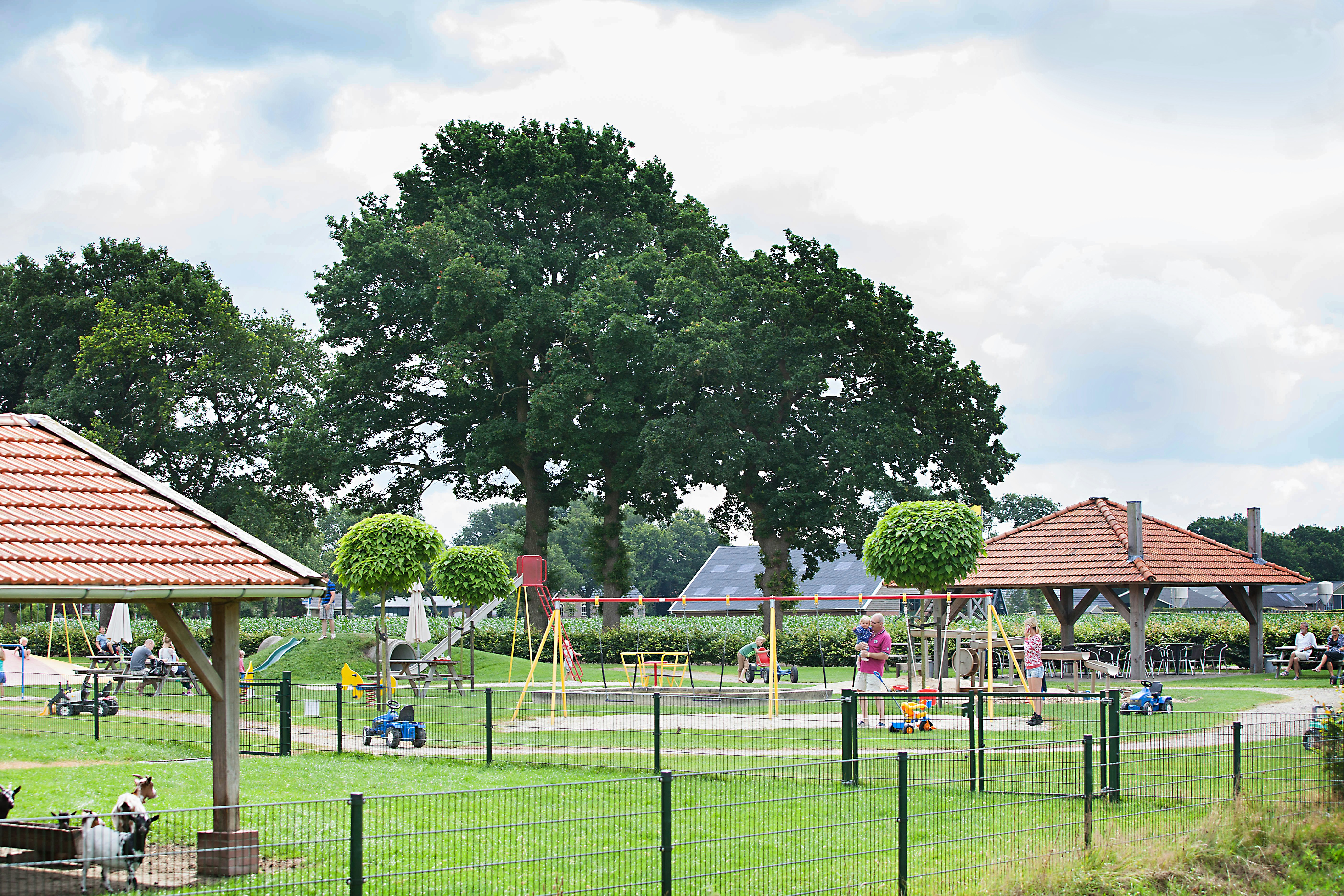 Camping D'Elf Ieken  - Kinderspielplatz auf dem Campingplatz
