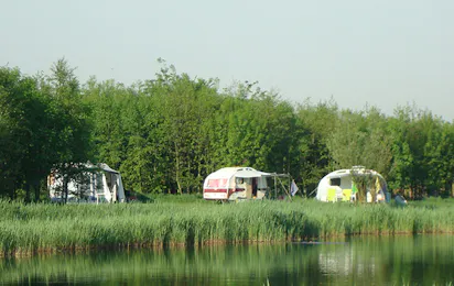 Camping Delflandhoeve
