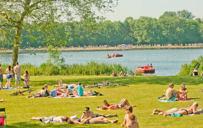 Camping Delftse Hout