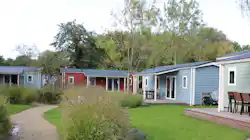 Camping Delftse Hout