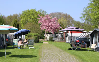 Camping Delftse Hout