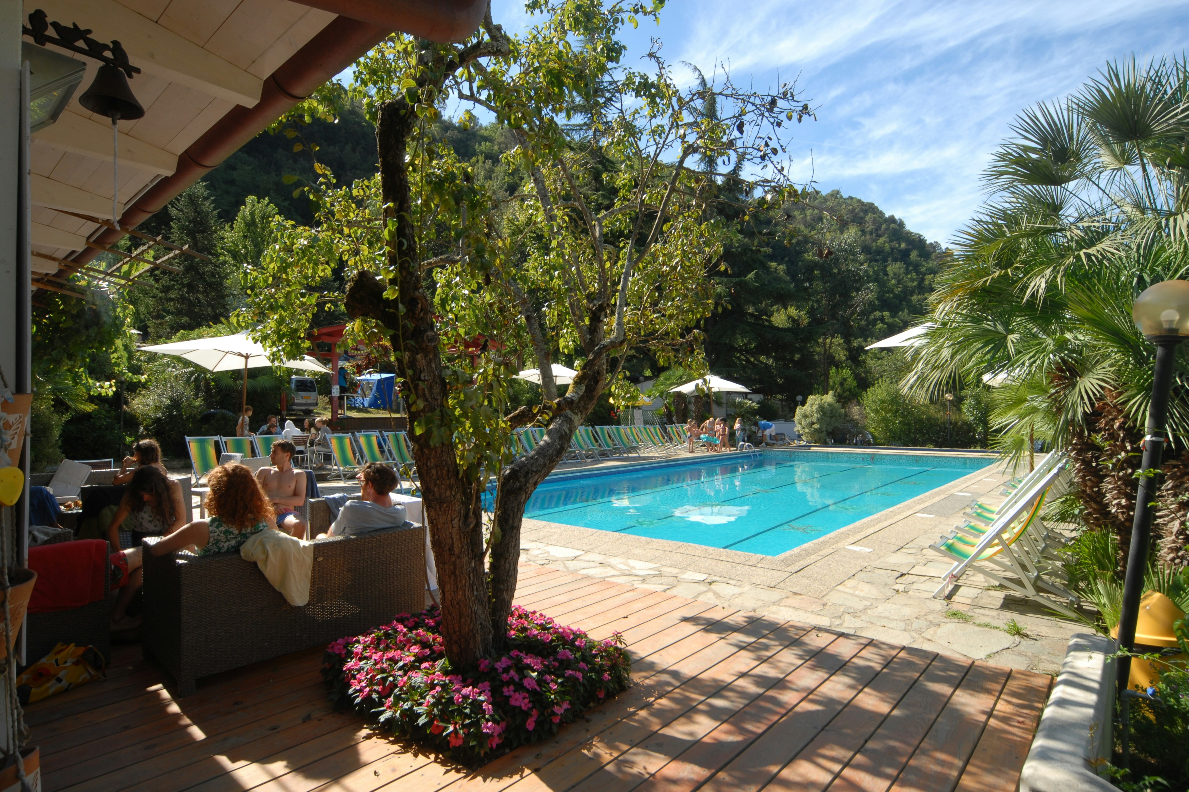 Blick auf den Camping-Pool mit blauem Wasser, Liegen und Sonnenschirmen, umgeben von Bäumen und Blumenbeeten.
