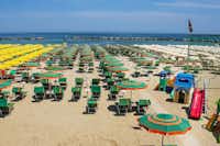 Camping Delle Rose - Viele Sonnenliegen und Sonnenschirme am Strand des Mittelmeers